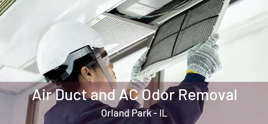  Air Duct and AC Odor Removal Orland Park - IL