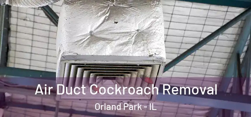  Air Duct Cockroach Removal Orland Park - IL