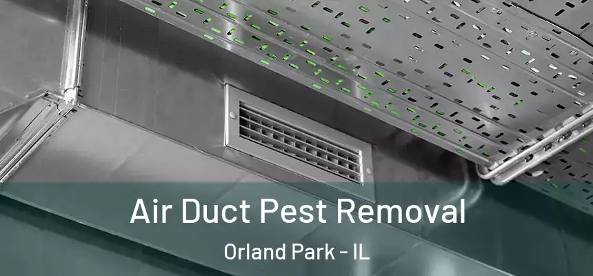 Air Duct Pest Removal Orland Park - IL