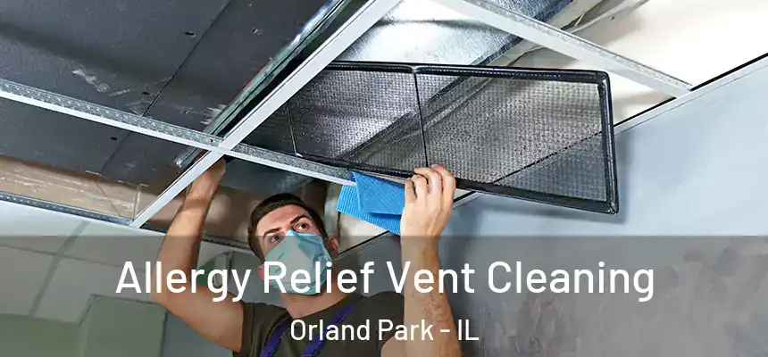  Allergy Relief Vent Cleaning Orland Park - IL