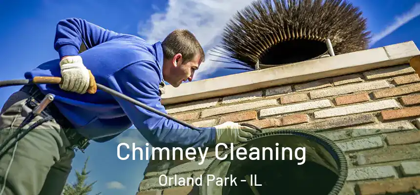 Chimney Cleaning Orland Park - IL