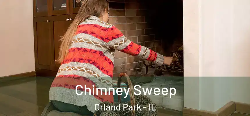 Chimney Sweep Orland Park - IL