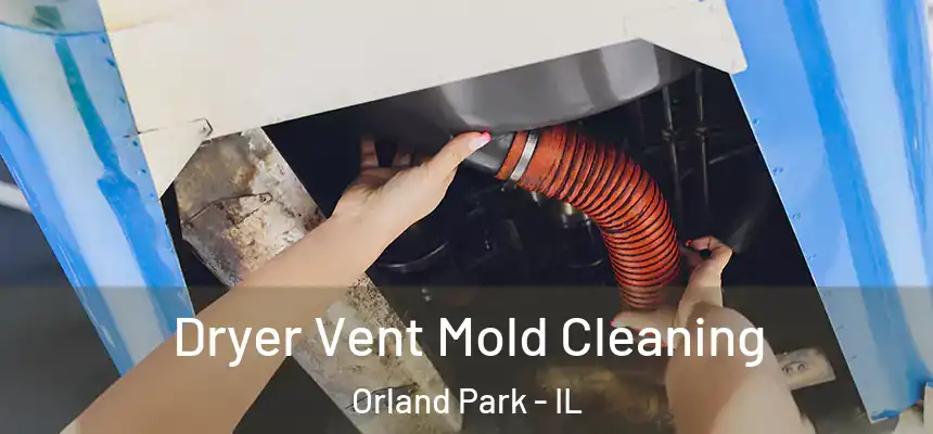  Dryer Vent Mold Cleaning Orland Park - IL