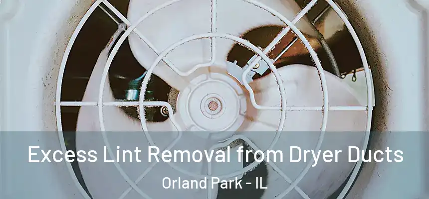  Excess Lint Removal from Dryer Ducts Orland Park - IL