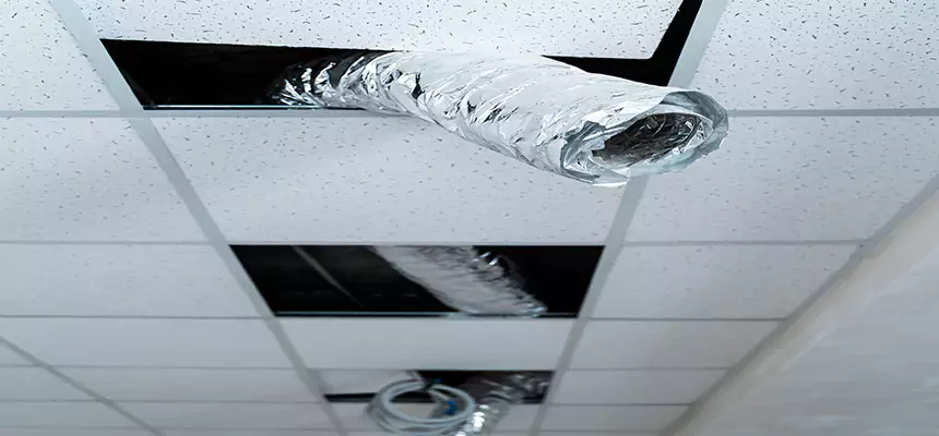 Affordable HVAC Sanitizing After Pest Removal in Orland Park