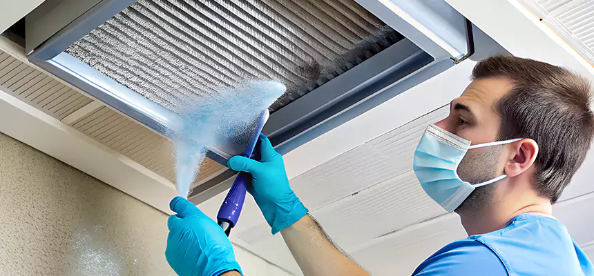 Proactive Dryer Vent & Auxiliary Duct Pollen Cleanup in Orland Park, IL