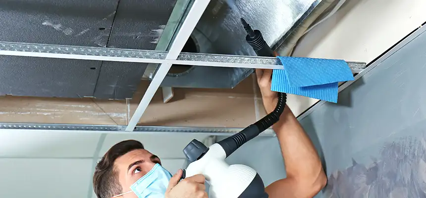 Our Air Duct Rodent Removal Services in Orland Park, IL