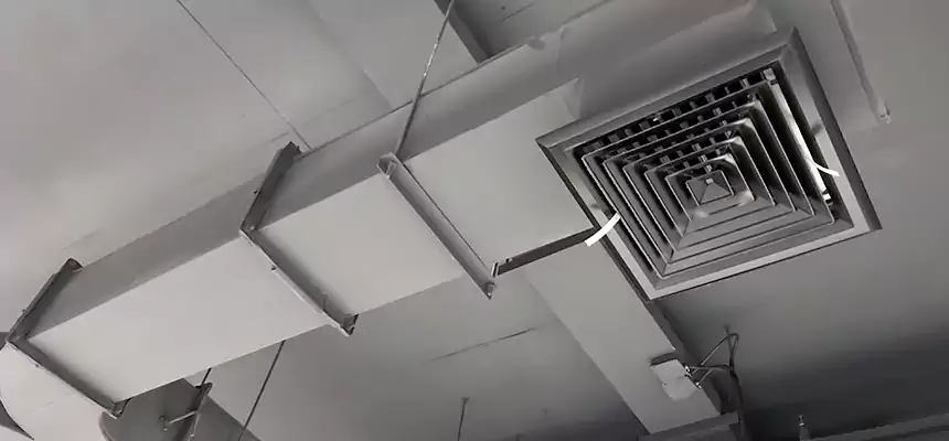 Restorative Allergy Relief Vent Cleaning – Coil, Blower & Housing Detail in Orland Park