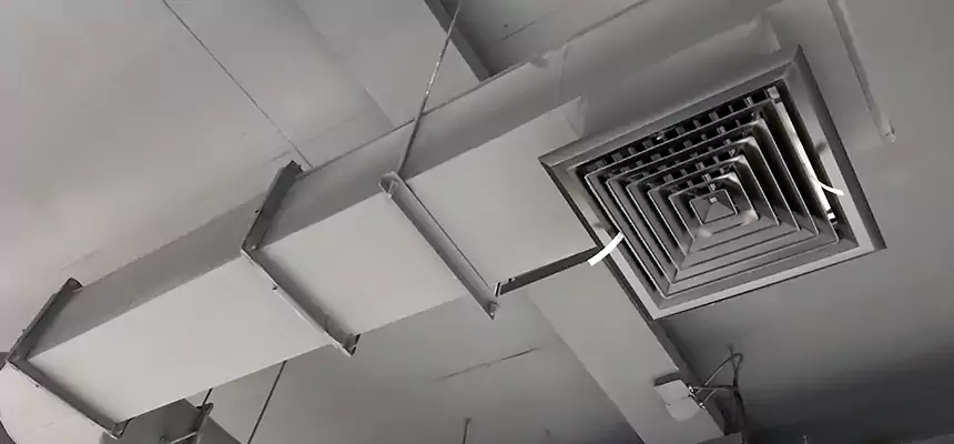 Our Pest Removal From Ducts Services in Orland Park, IL