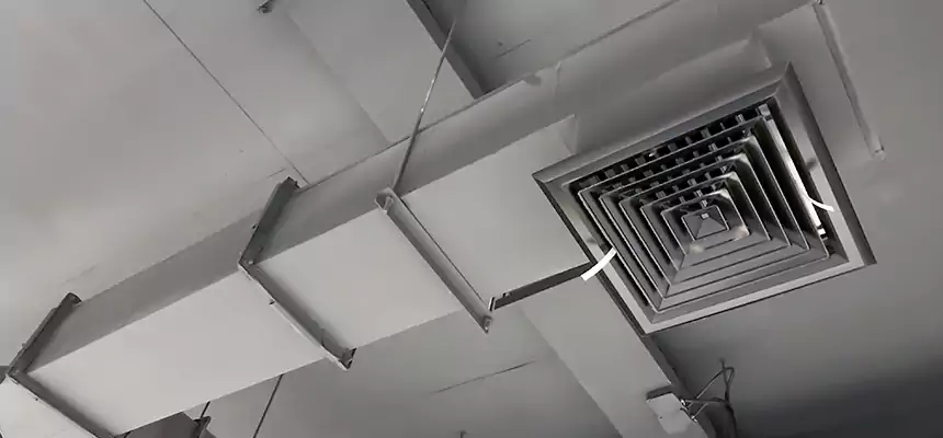 Our Rodent Droppings In Vents Services in Orland Park, IL