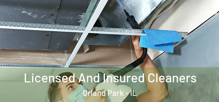  Licensed And Insured Cleaners Orland Park - IL