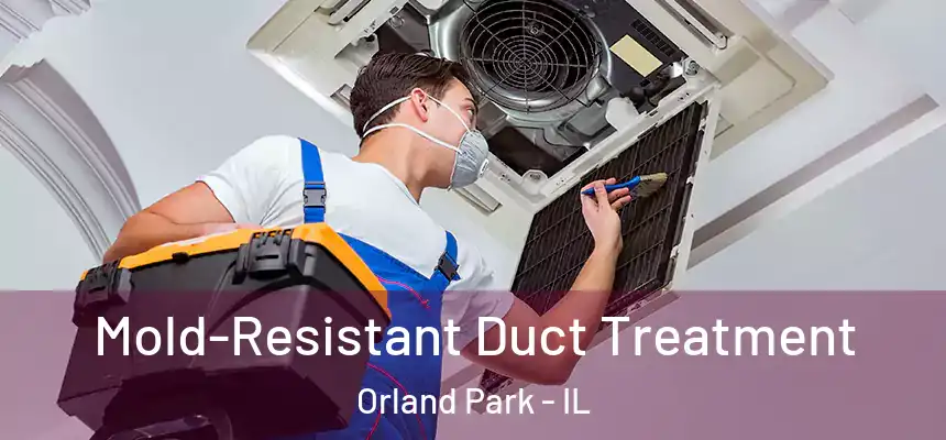  Mold-Resistant Duct Treatment Orland Park - IL