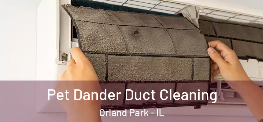 Pet Dander Duct Cleaning Orland Park - IL