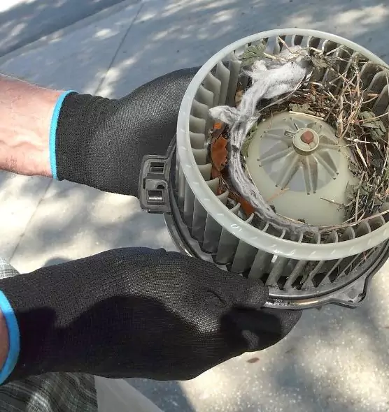 About Air Duct Mice Removal in Orland Park, IL