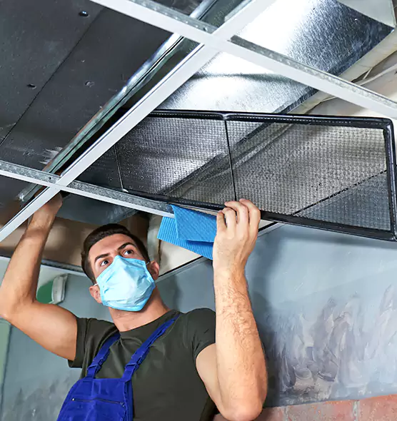 Professional Air Duct Pollen Cleaning in Orland Park, IL