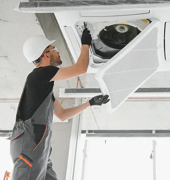 About Air Duct Rodent Removal in Orland Park, IL